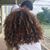 Fabiola Nicole's profile image