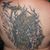 Randy Satz's profile image
