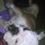 Stacie George's profile image