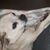 Mark Arnold's profile image