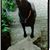 Debra Mueller's profile image