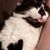 Sandy Solar's profile image