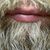 Knut Christiansen's profile image