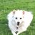 Maria Pesce's profile image