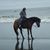 Tammy Smith's profile image