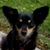 Christine Liddiard Jones's profile image