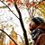 Alessio Anelli's profile image