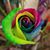 Joyce Leonard's profile image