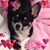 Linda Calvert's profile image
