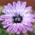 Bridgette Ragan Burks's profile image