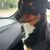 Judy Jenkins-Goforth's profile image