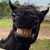 Dana Martin Sickler's profile image