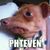 Steven Holmes's profile image