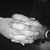 Mariana Arguello's profile image