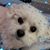 Lana DeGrace's profile image