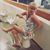 Jen Simpson's profile image