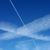 Debra Durante's profile image