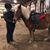 Teresa Fico's profile image
