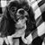 Mary Cameron's profile image