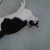 Fabi Craycraft's profile image