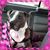 Erin Leon's profile image