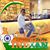 Brahma Ananda's profile image