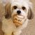Mike Butterfield's profile image