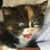 Koh Stubbe's profile image