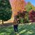 Allison Katherine Mortens's profile image