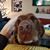 Carrie Brown's profile image