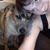 Kimberly Bolin's profile image
