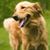 Linda Hamilton Neer's profile image
