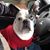 Donna Nason's profile image