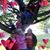 Helen Herring-Crocker's profile image