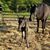 Catherine Welch Lucas Maurer's profile image