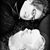 Andrea Bowling Perdue's profile image