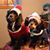 Linda Tesser Leitner's profile image