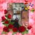 Sharon Shifflett Kline's profile image