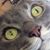 Jason Phillips's profile image