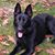 Linda Rathbun's profile image
