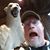 Timothy Rudisille's profile image