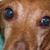 George N Bo Zuloaga's profile image
