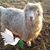 Tammy Grimmett's profile image