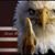 Eric Davis's profile image