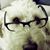Heather Coomes-Scanlon's profile image