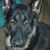 Keith Brusseau's profile image
