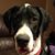 Jason Biberston's profile image