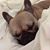 Vicki Smith Minoui's profile image