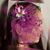 Noemi Salvador's profile image
