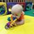 Carron McCracken's profile image
